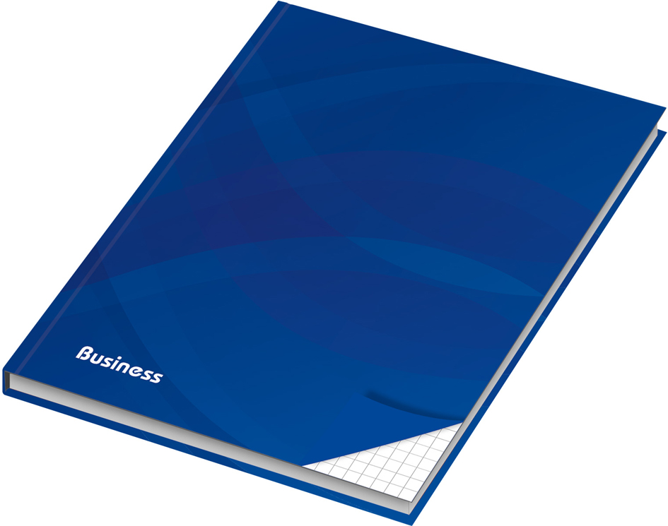 RNK Verlag Notizbuch , Business blau, , DIN A4, kariert
