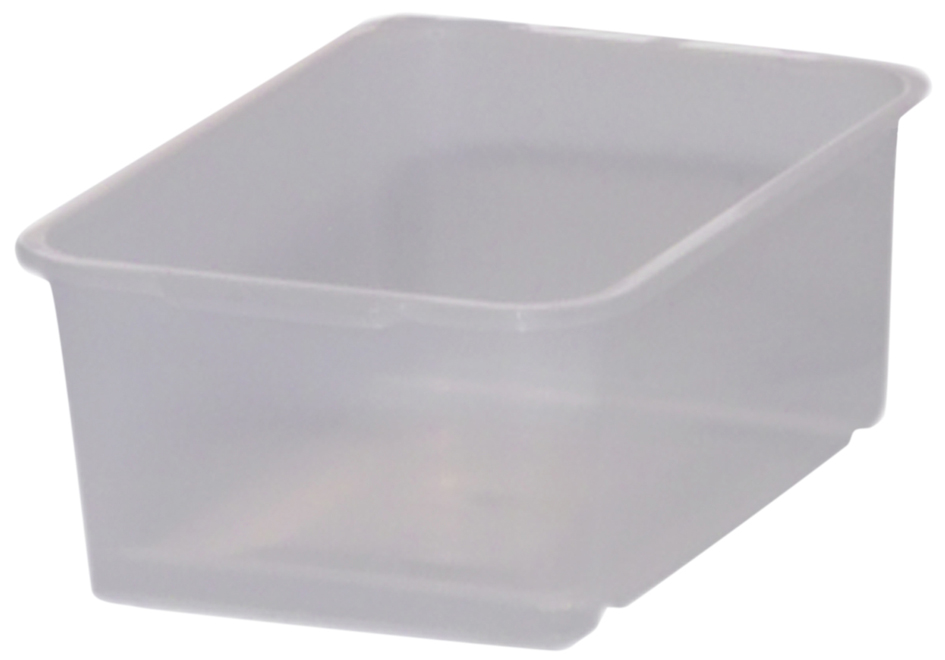 4001515136013 - - Speicherbox Widerstandsstoff (pp) 45 l 30 x 20 x 11 cm Wilma neutraler transparent