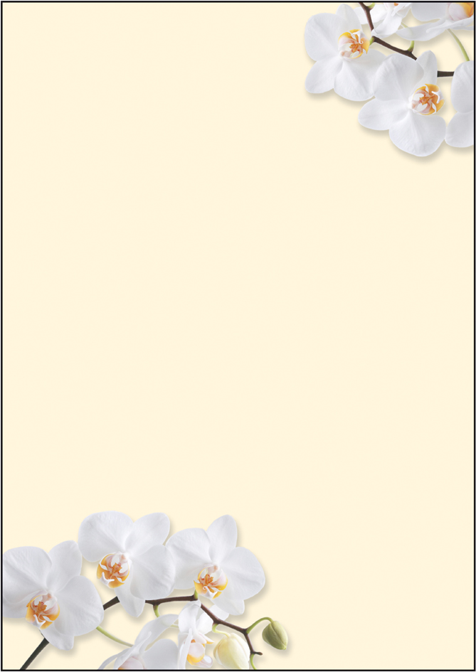 sigel Design-Papier, DIN A4, 90 g/qm, Motiv , White Orchid,