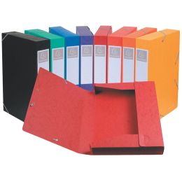 EXACOMPTA Sammelbox Cartobox, DIN A4, 25 mm, grn