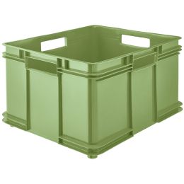 keeeper Aufbewahrungsbox Euro-Box XXL bruno eco, graphite