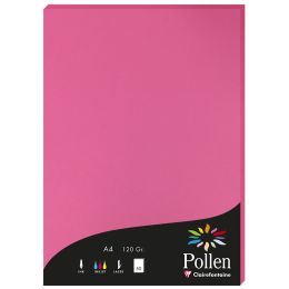 Pollen by Clairefontaine Papier DIN A4, naturwei