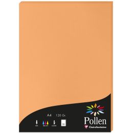 Pollen by Clairefontaine Papier DIN A4, naturwei